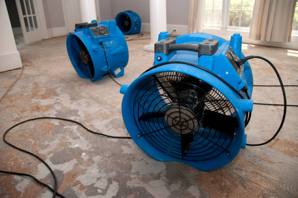Best Fire Damage Restoration  in Isle Of Palms, SC