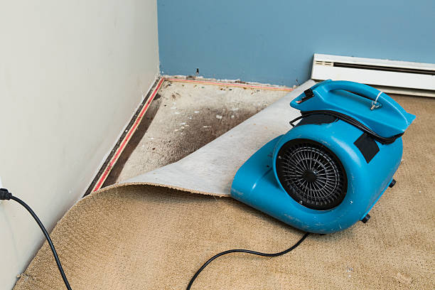  Isle Of Palms, SC Water damage restoration Pros